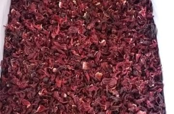 HIBISCUS