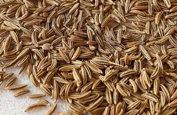 seeds-caraway
